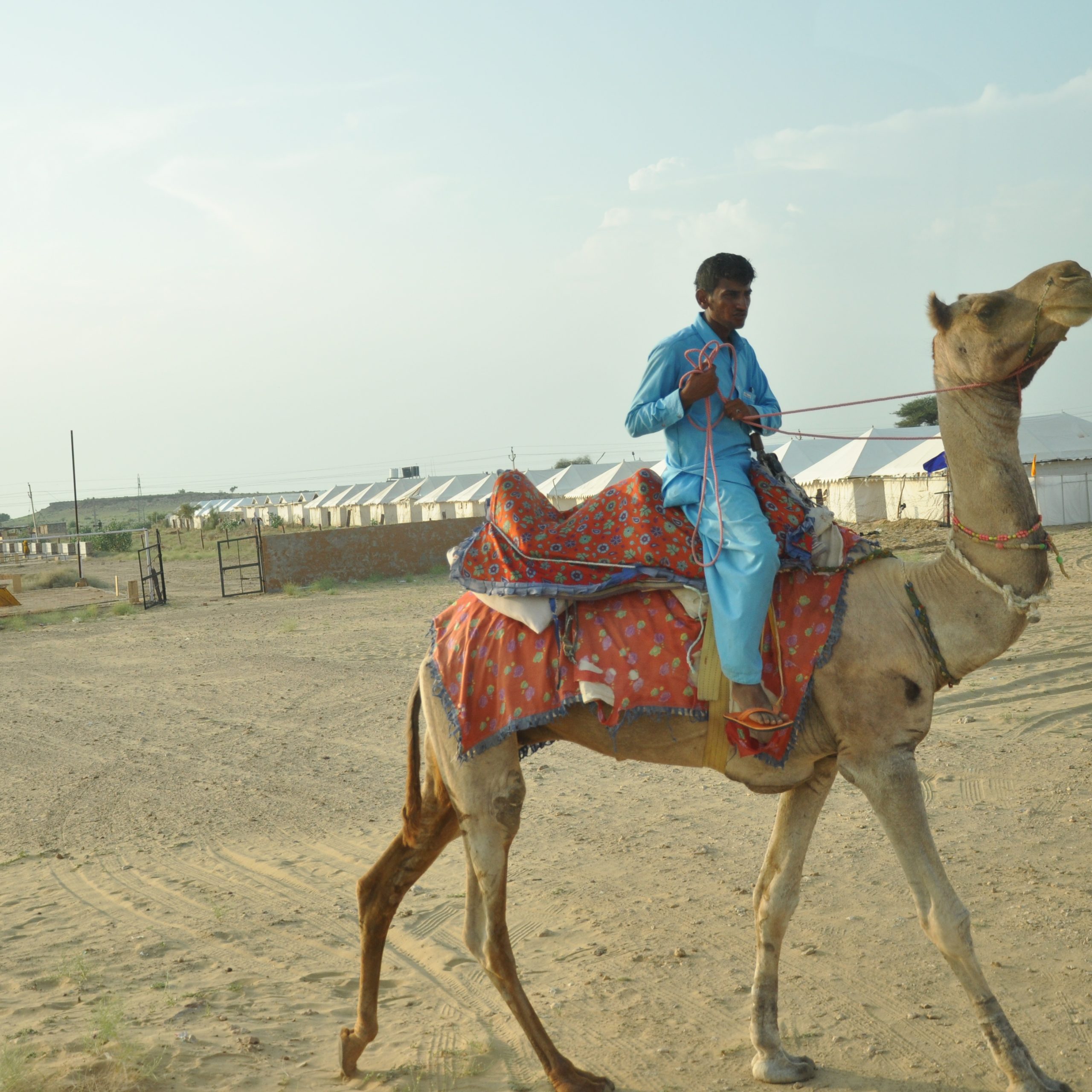 Dag 05: Bikaner – Jaisalmer (330 km / ca. 6 uur)