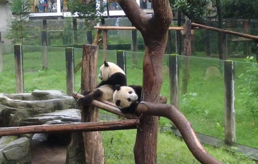 China – Van Shanghai  tot Beijing met Yangtze Cruise (28aug26 – 11sep26)- Volgeboekt