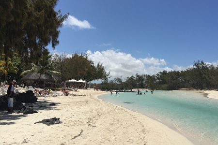 West-Indische Avontuur Trinidad, Guyana en Suriname (28feb26-29mar26)