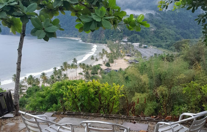 West-Indische Avontuur Trinidad, Guyana en Suriname (28feb26-29mar26)