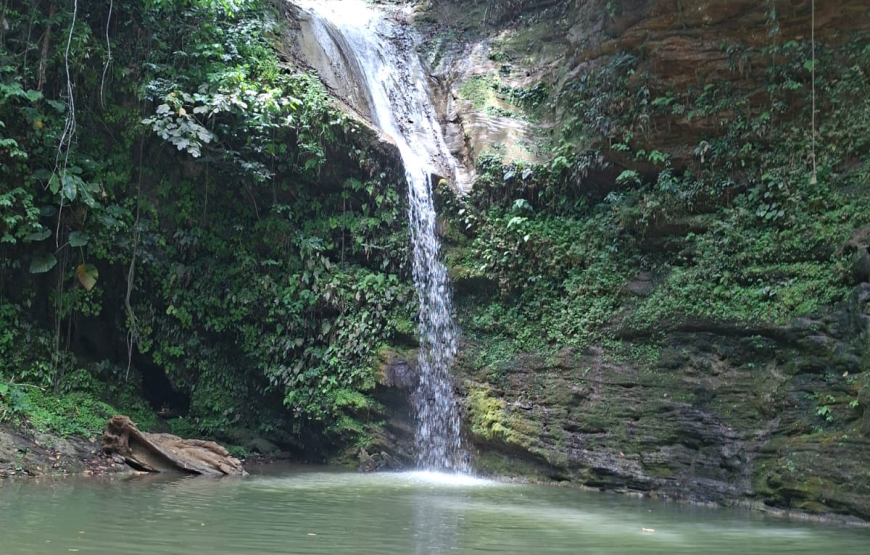 West-Indische Avontuur Trinidad, Guyana en Suriname (28feb26-29mar26)