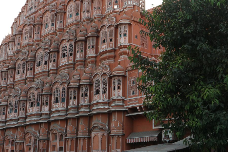 Rajasthan – Ontdek het land van forten en paleizen